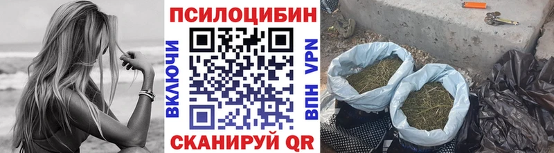 Псилоцибиновые грибы ЛСД  Купить закладки  Невьянск 